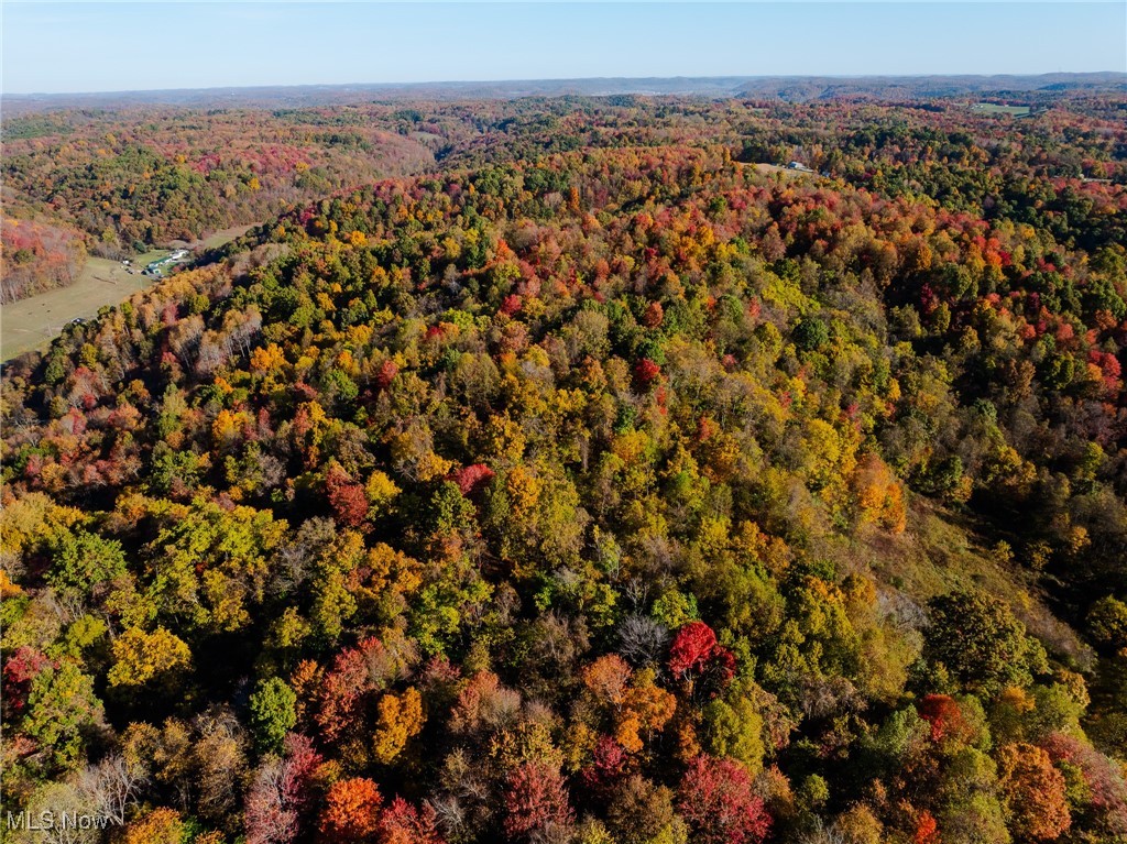 Kedigh Hollow Road, Newcomerstown, Ohio image 9