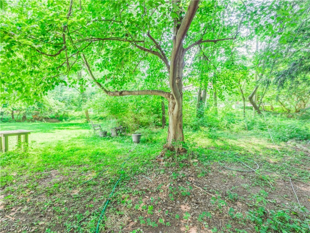 Silver Lake Village - Residential