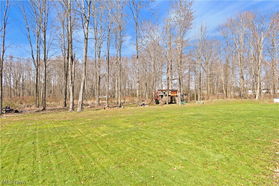 Township/Braceville - Residential