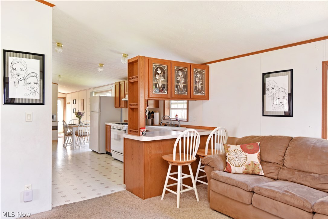 Township/Braceville - Residential