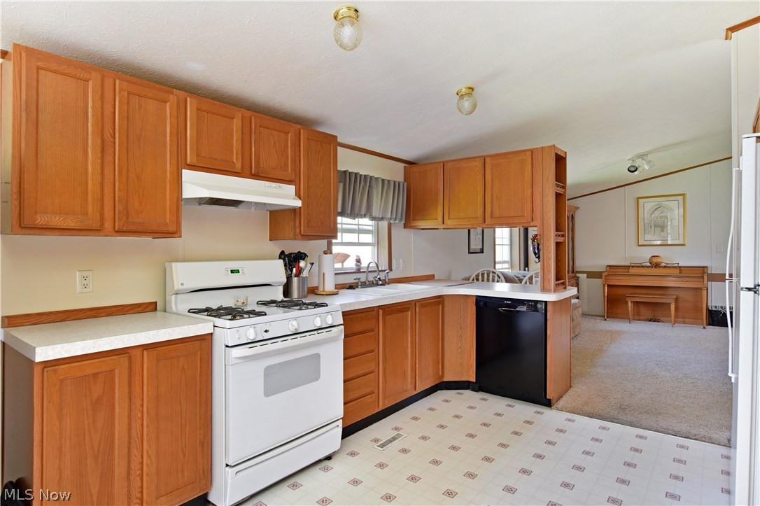 Township/Braceville - Residential