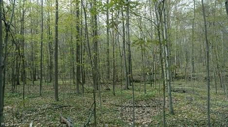 Connecticut Western Reserve - Residential