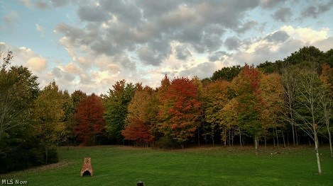 Connecticut Western Reserve - Residential