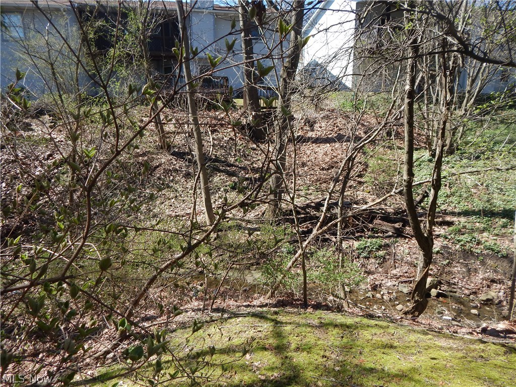 Forest Cr Estate - Residential