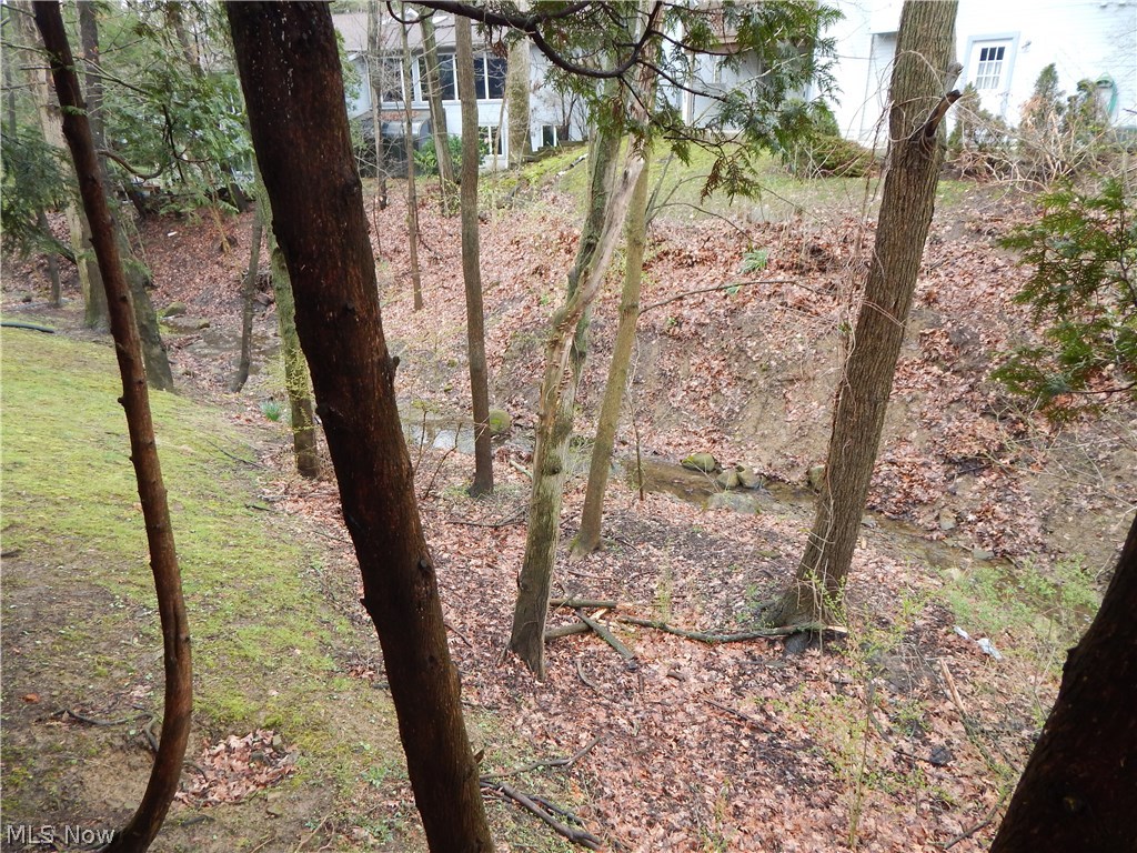 Forest Cr Estate - Residential