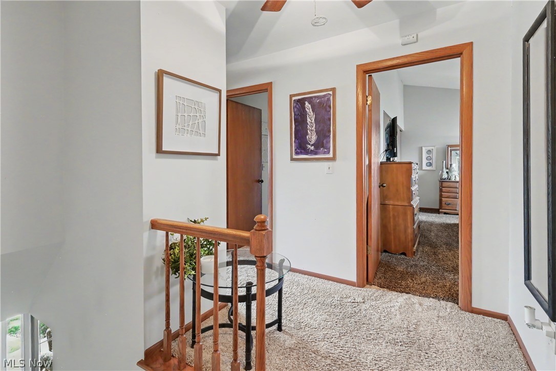 Village//Lexington - Residential