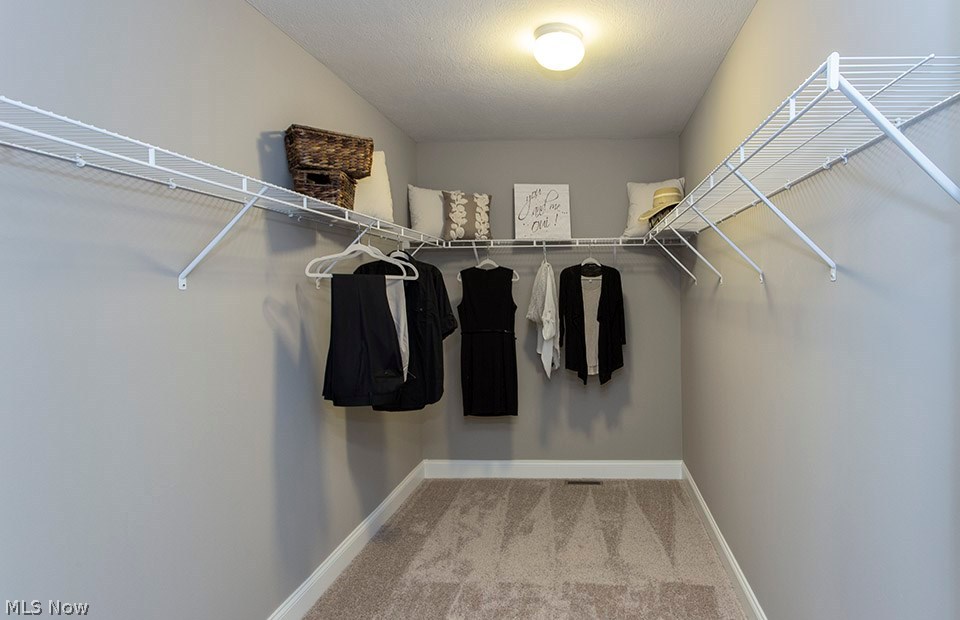 The Preserve at Miller's Farm - Residential