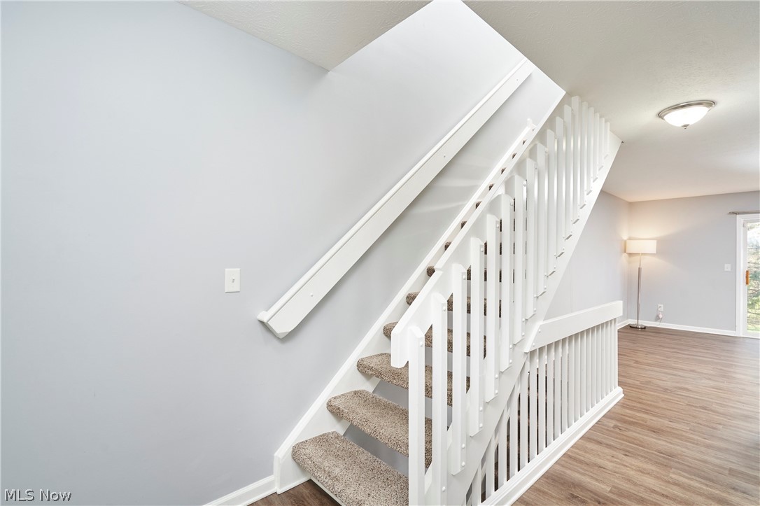 Meadows/Copley Allotment - Residential