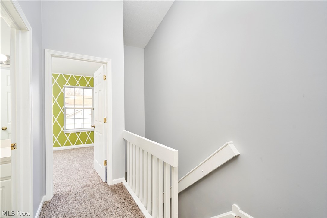 Meadows/Copley Allotment - Residential