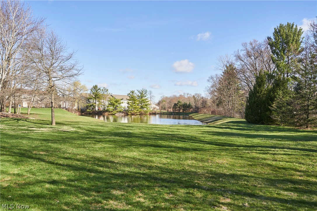 Meadows/Copley Allotment - Residential
