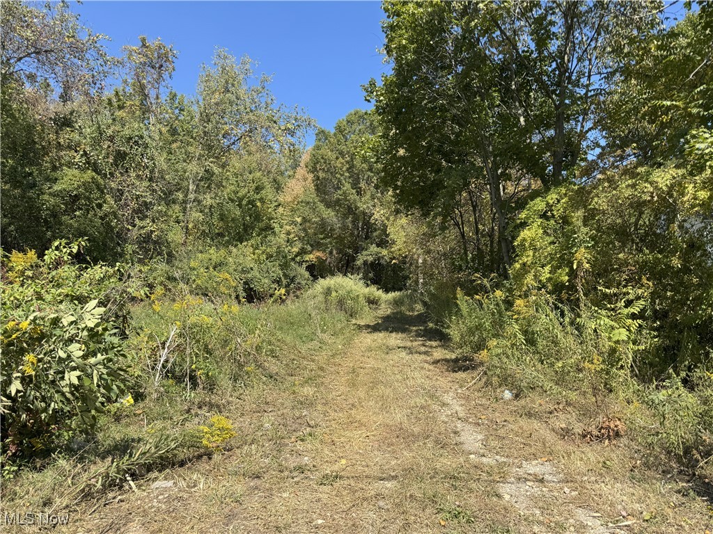 8.3906 Acres in New Franklin. Beautiful wooded lot. Build your dream home now.