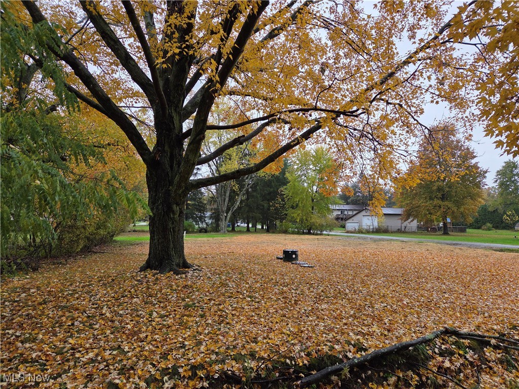 Barberton Land Co Allotment - Land