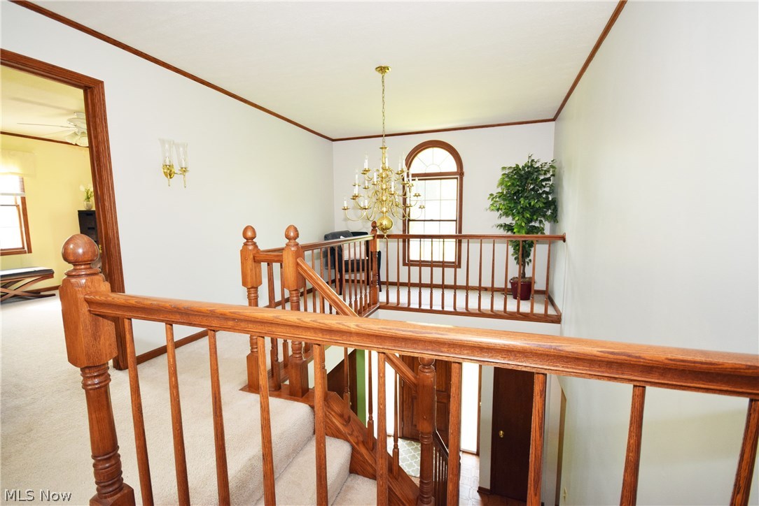Walnut Hills - Residential