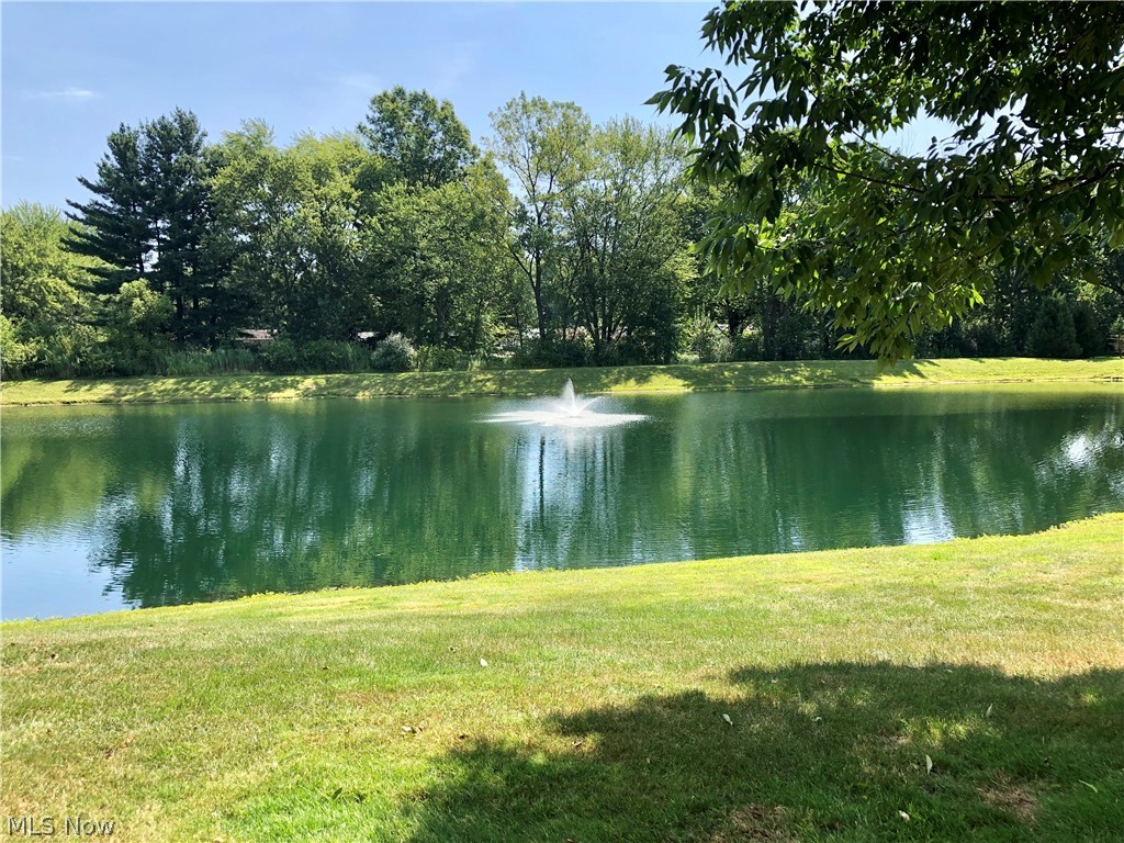 Meadows/Copley Allotment - Residential