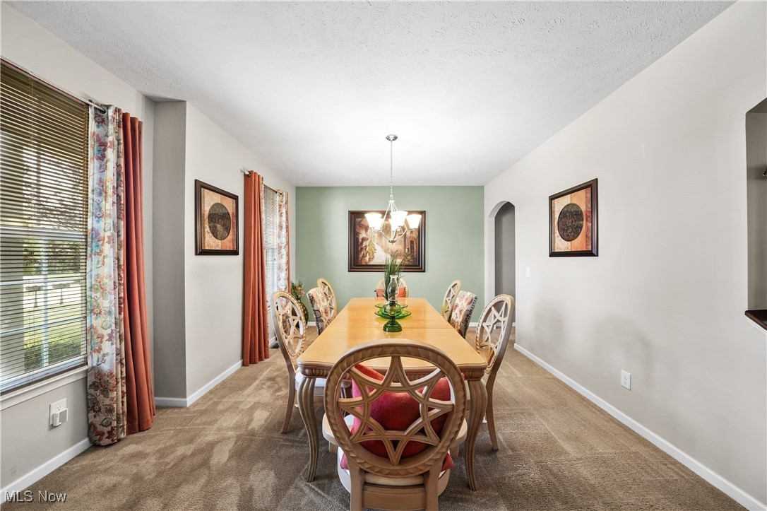 8028 Megan Meadow Drive