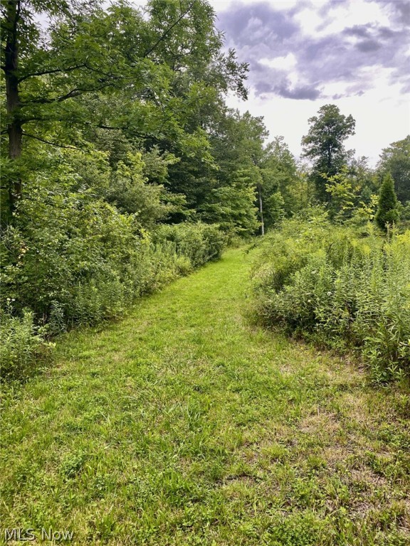 Fowlers Mill Road, Chardon, Ohio image 1