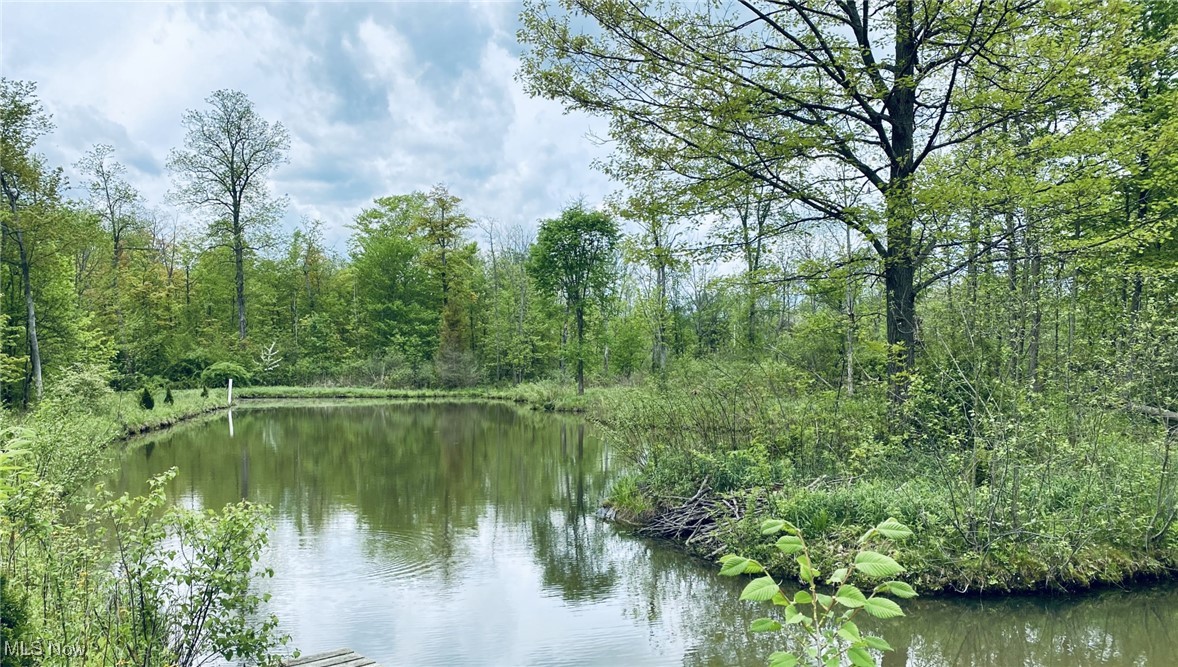 Fowlers Mill Road, Chardon, Ohio image 7