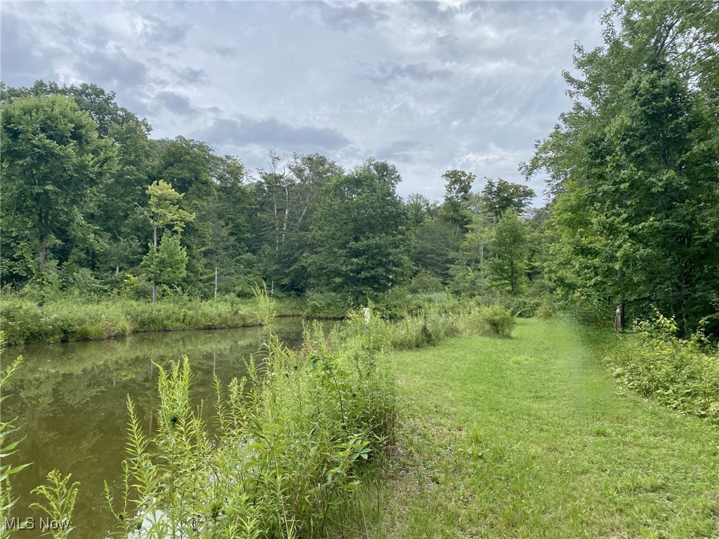 Fowlers Mill Road, Chardon, Ohio image 4