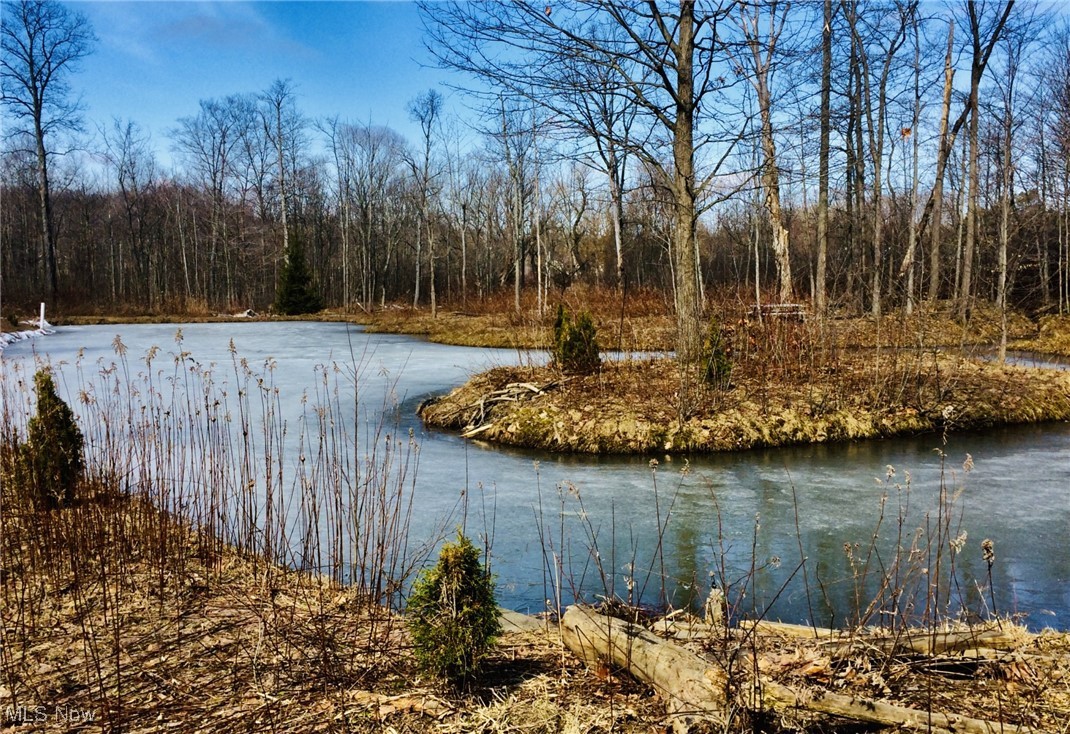 Fowlers Mill Road, Chardon, Ohio image 10