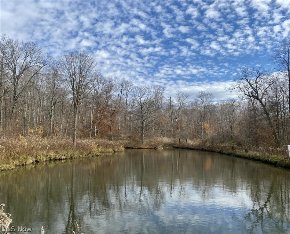 Fowlers Mill Road, Chardon, Ohio image 8