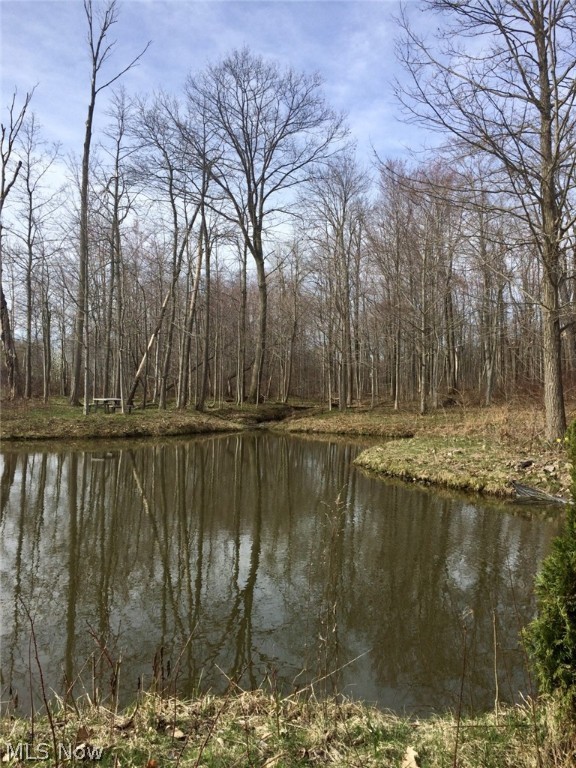 Fowlers Mill Road, Chardon, Ohio image 9