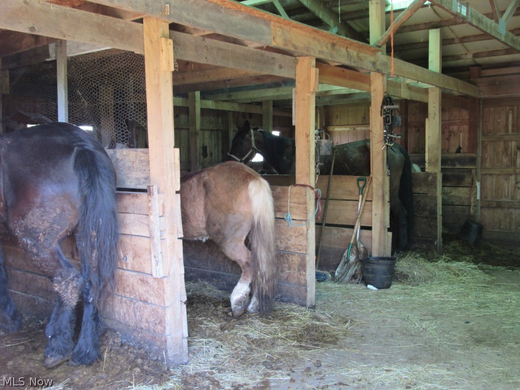 Connecticut Western Reserve - Residential