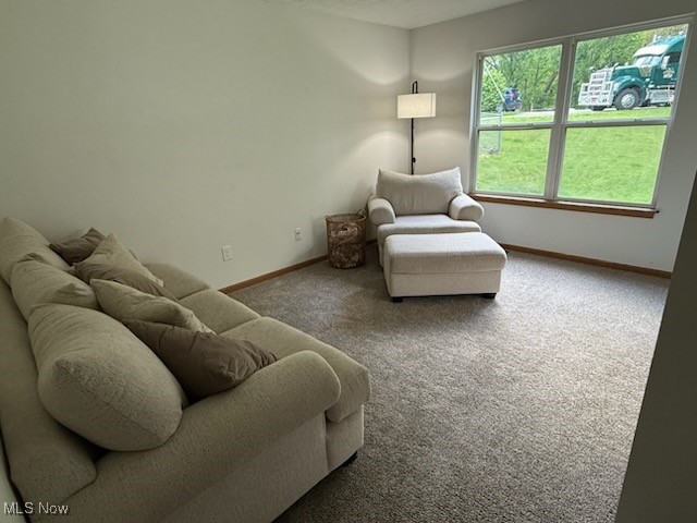 1027 W Hopocan Avenue, Barberton, Ohio image 11
