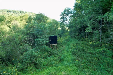 Tiny photo for 8251 Bay Road SE, Carrollton, OH 44615 (MLS # 5239469)