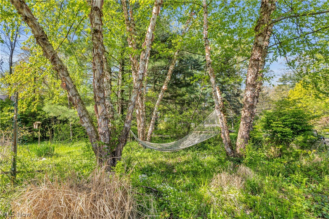 Dodd-Aldrich Forest Park - Residential