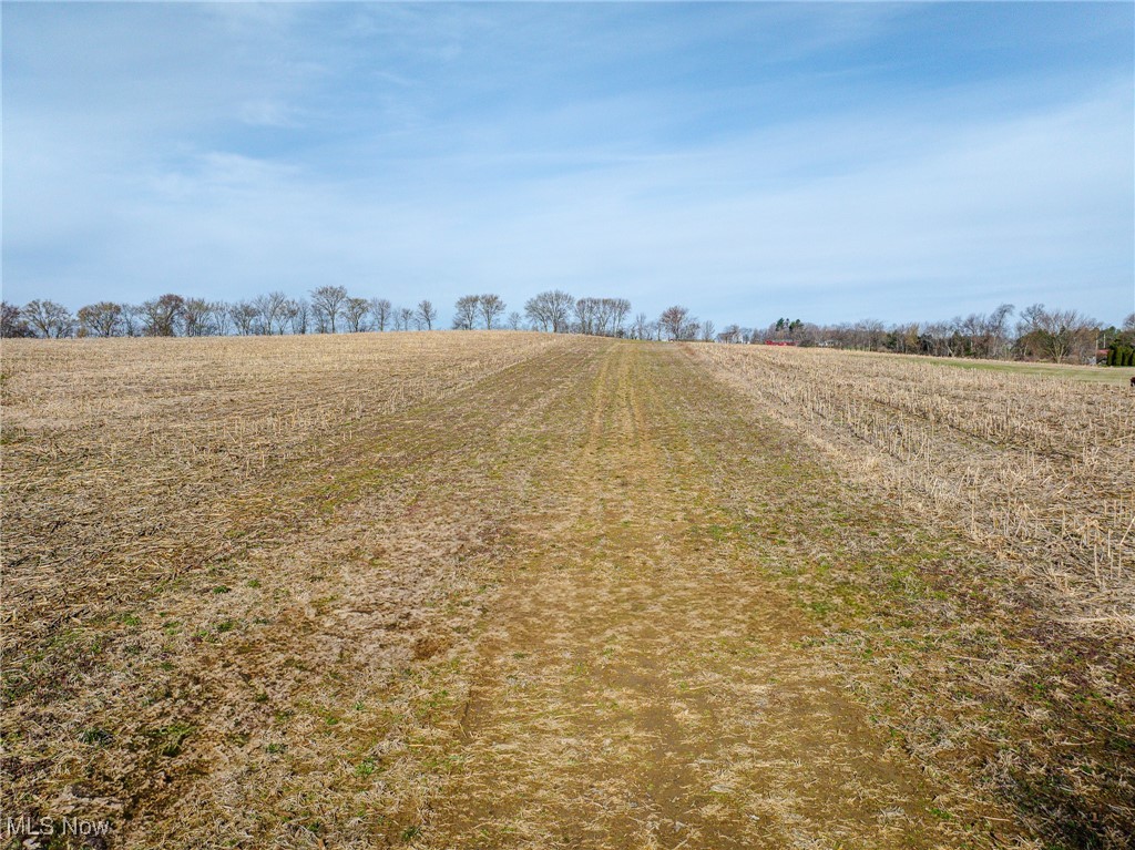 Dundee Wilmot Road, Dundee, Ohio image 10