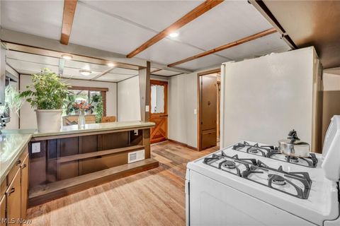 Tiny photo for 5026 Lear Nagle Road, North Ridgeville, OH 44039 (MLS # 5196959)