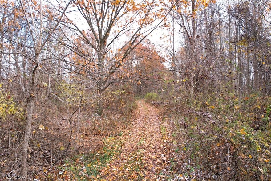 Discover the perfect opportunity to build your dream home on this beautiful 10+ acre wooded parcel located in the desirable Southeast Local School District in Portage County. Surrounded by nature, this property offers a peaceful, private setting with mature trees and abundant wildlife — ideal for those seeking space, serenity, and country living.

Whether you envision a custom home tucked into the woods, a recreational retreat, or an investment in land, this property provides endless potential. Enjoy the tranquility of rural living while still being conveniently located near local amenities, major routes, and neighboring communities.

Bring your vision and make this scenic acreage your own!