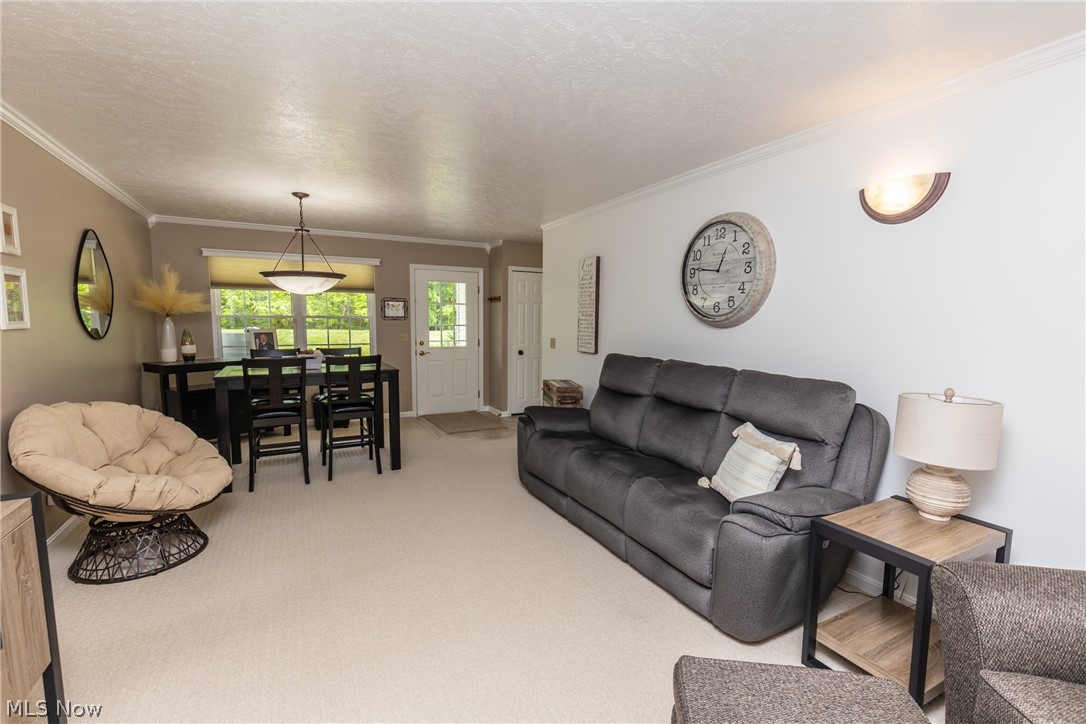 Hickory Rdg Clstr Dev - Residential