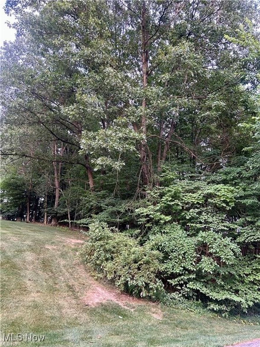 Beautiful building lot offering seasonal lake views in a prime Lake Mohawk location. Conveniently situated near the front gate, golf course, marina, and main beach. Build your dream home or purchase for full lake access and enjoy everything this private, gated community has to offer. Lake Mohawk features a 500-acre lake with unlimited horsepower, three beaches, a golf course, marina, tennis courts, playground, sand volleyball courts, and a scenic walking path.