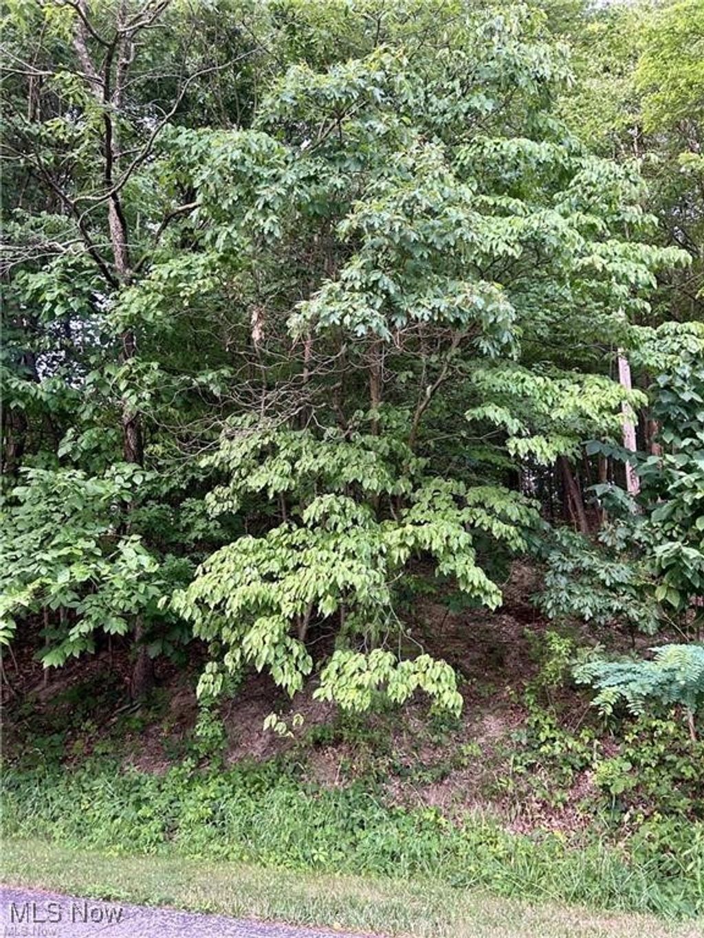 Photo of 91 Oneida Trail, Malvern, OH 44644 (MLS # 5177971)