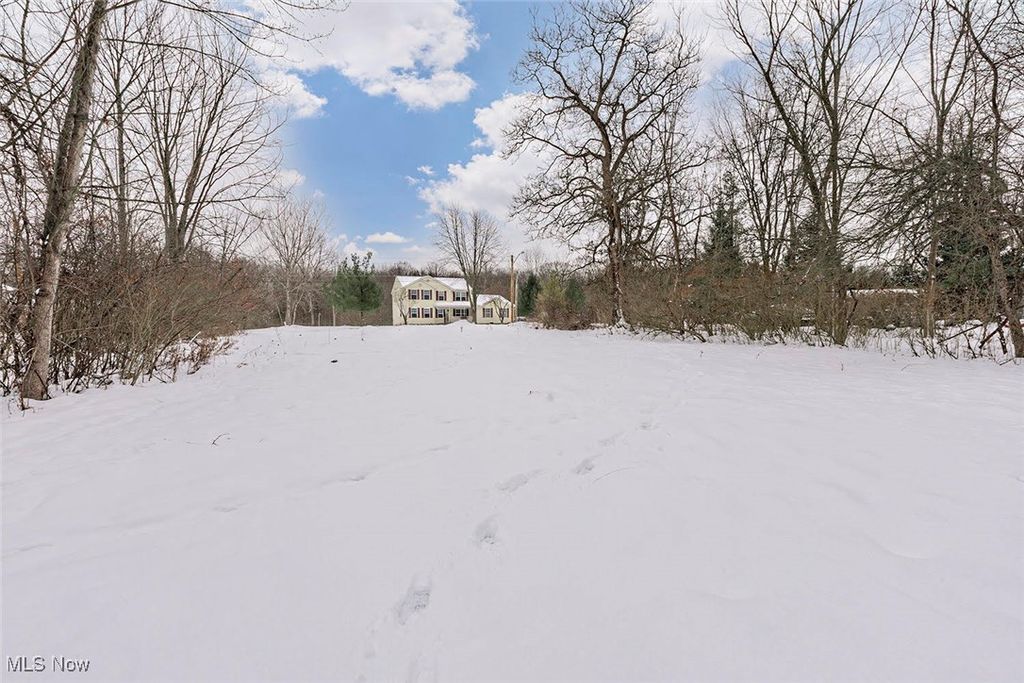 Photo of 16788 Geneva Street, Chagrin Falls, OH 44023 (MLS # 5177089)