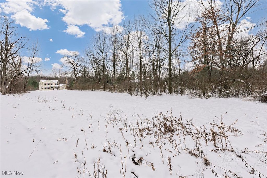 Photo of 16788 Geneva Street, Chagrin Falls, OH 44023 (MLS # 5177089)