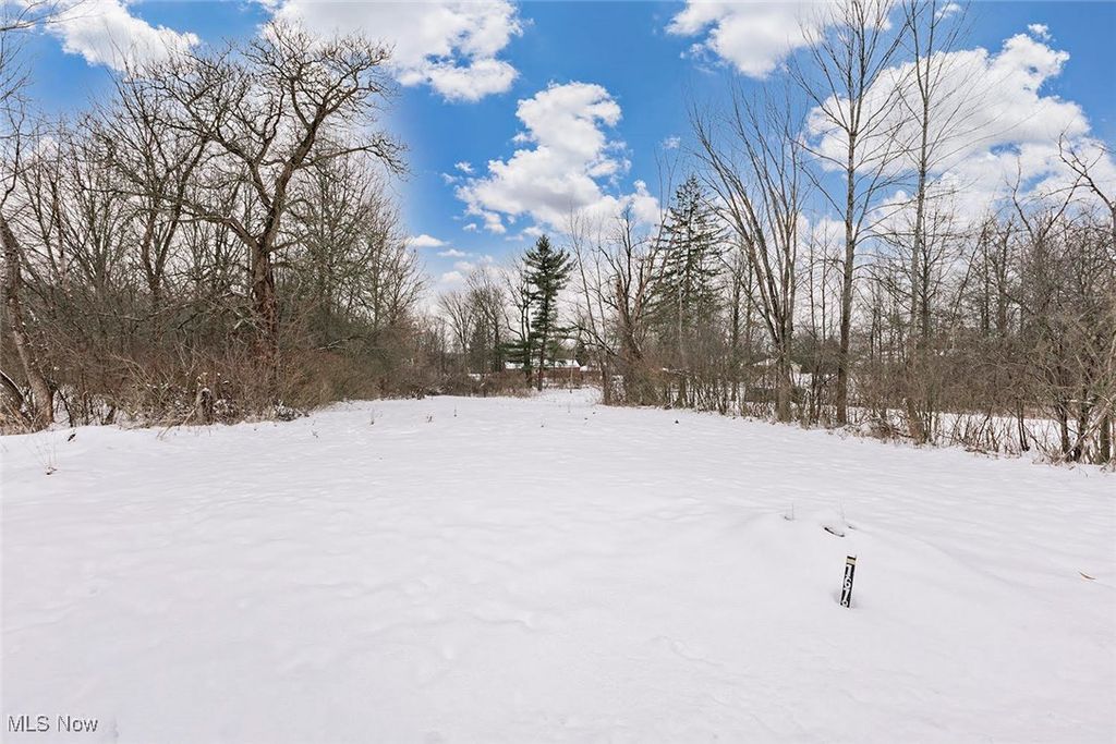 Photo of 16788 Geneva Street, Chagrin Falls, OH 44023 (MLS # 5177089)