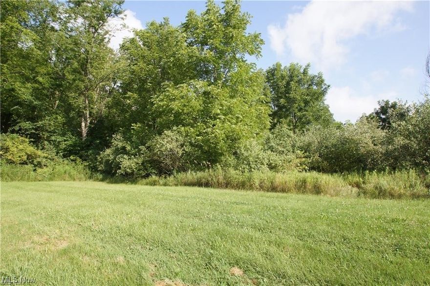 9.418 acre lot for a home with a walk out basement. 248.06' of frontage. Close to State Route 21.  Additional acreage potentially available. Call Realtor for more details. Well and septic at buyer's expense. Property is zoned rural residential. Lot has been perk tested. Parcel to be split prior to closing.