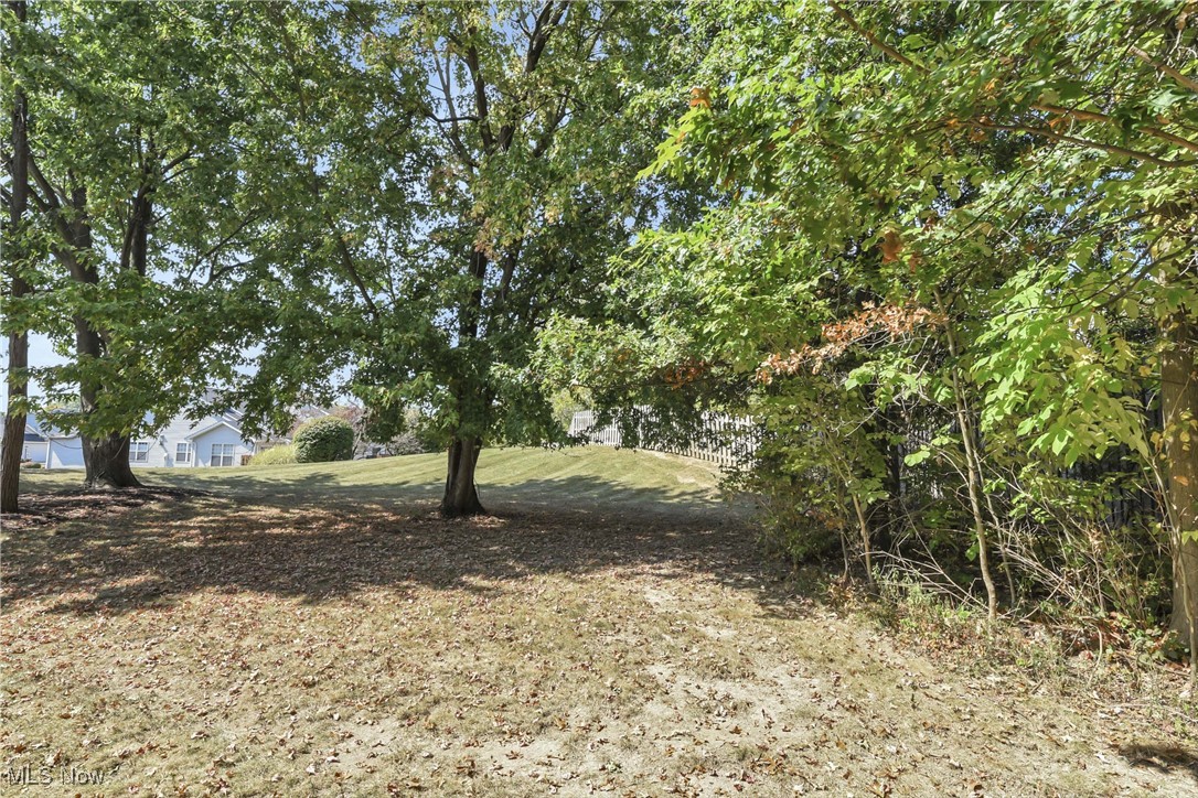 Cinnamon Woods - Residential