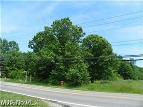 Priem Road, Strongsville, Ohio image 5