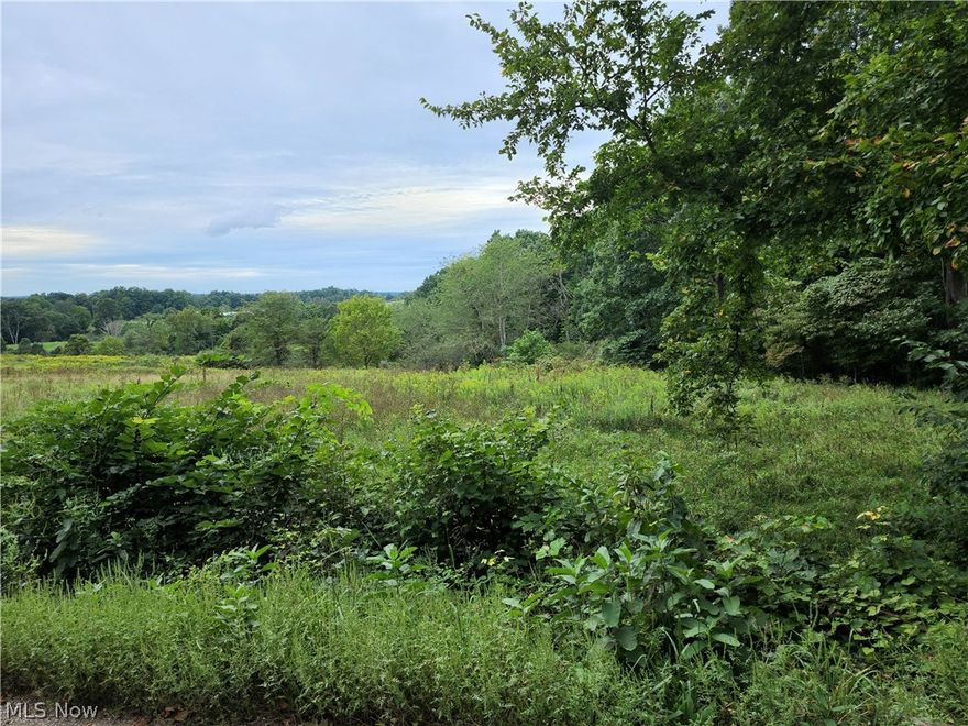 Great building lot located in Franklin Schools. This property will be 6.2 acres M/L. Currently part of a larger parcel (pending survey). Public water is available along Buttermilk road. Amazing location right next to the state park land. Build your dream home or a weekend get away. Public water may be available.  Buyer to do own due diligence.
