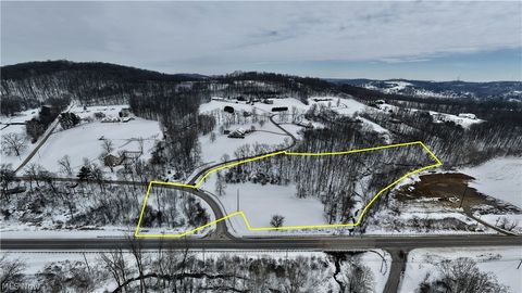 Vacant Land For Sale - 8930 Cr 393<br/> Holmes County, Millersburg, OH 44654