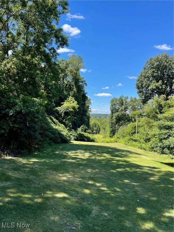 Brownstone Avenue, Akron, Ohio image 6