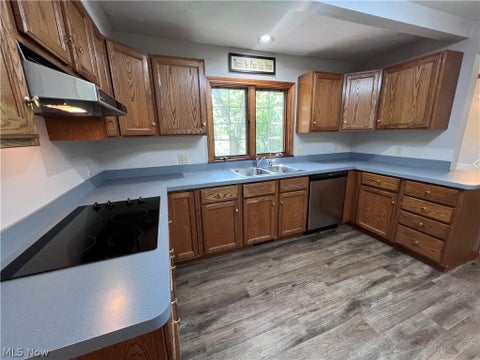 Tiny photo for 75 Olive Street, Chagrin Falls, OH 44022 (MLS # 5221944)