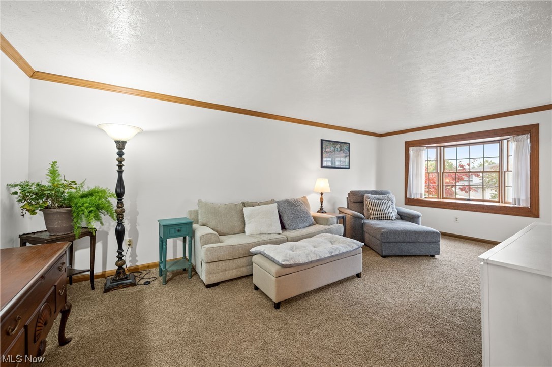 Sassafras Hills 03 - Residential