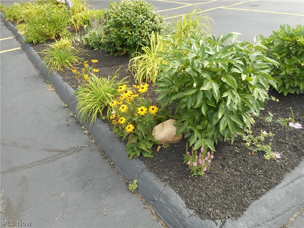 Silver Lake Towers - Residential