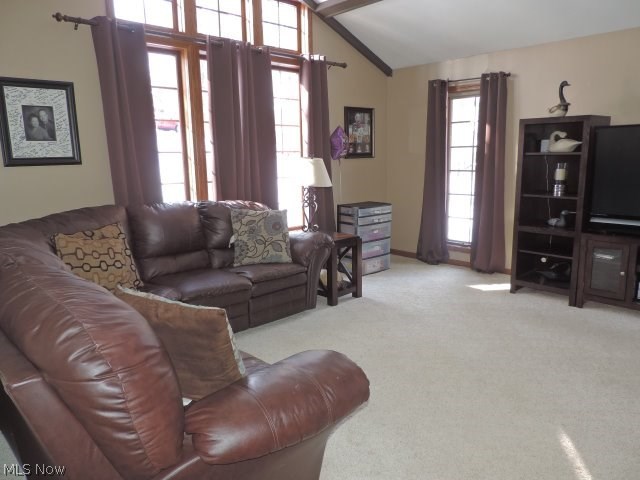 Willow Glens - Residential