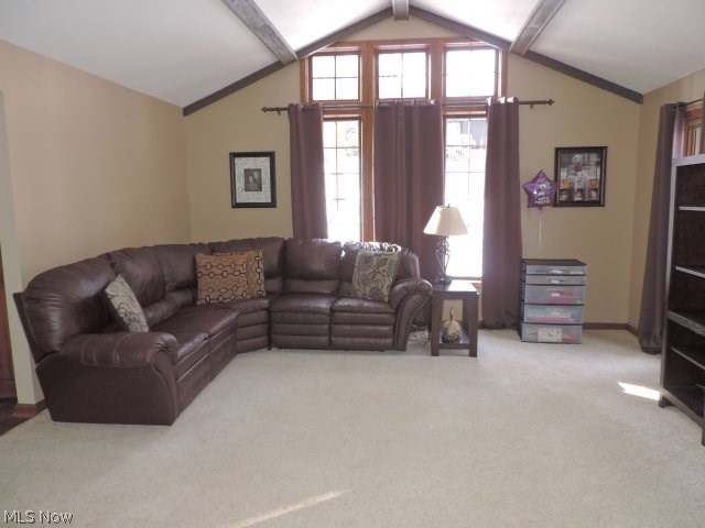 Willow Glens - Residential