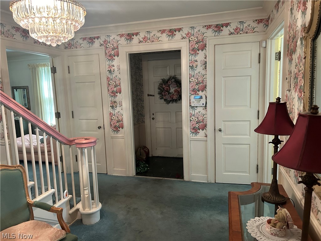 Stanley Road Allotment - Residential